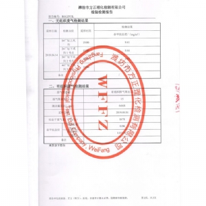 濟(jì)寧金漢斯環(huán)保材料有限公司2019年6月檢測(cè)報(bào)告