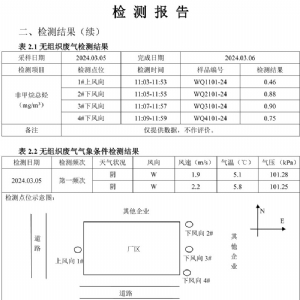 檢測(cè)報(bào)告（2024.03.20）